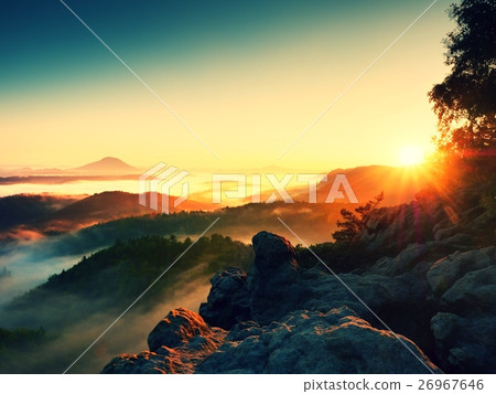 Fall morning mist.The sandstone clif above treetop Fall morning mist.The sandstone clif above treetop 26967646