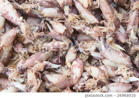 The rabbit, squid, dried seafood of Thailand. The rabbit, squid, dried seafood of Thailand. 26968010