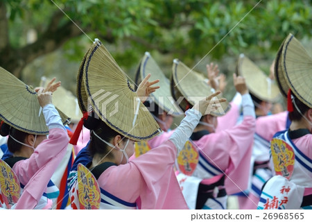 正宗的德島阿波大通女子舞蹈 正宗的德島阿波大通女子舞蹈 26968565