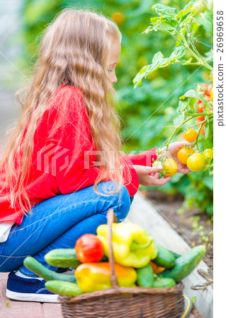 Little girl in greenhouse with basket full of Little girl in greenhouse with basket full of 26969658