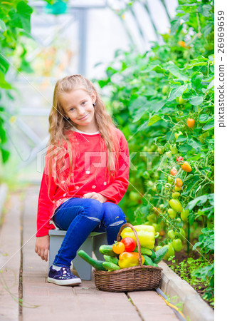 Little girl in greenhouse with basket full of Little girl in greenhouse with basket full of 26969659