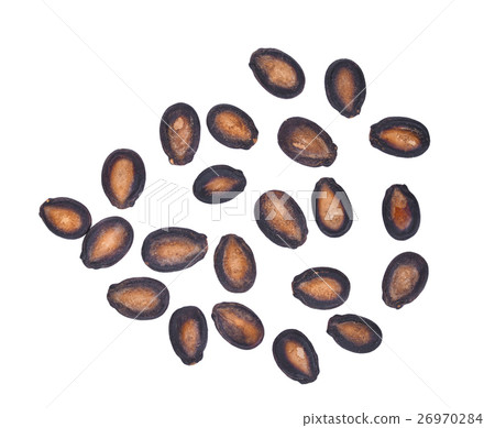 top view of dried watermelon seeds isolated  26970284