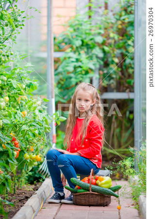 Little girl collecting crop cucumbers and tomatos 26970304