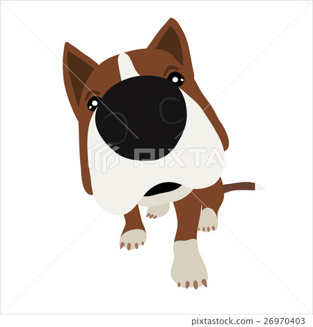 Dog with large head and nose. Vector Illustration 26970403