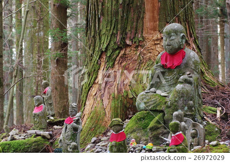 信州的文化資產傑作守谷貞信伊純佛寺地藏原地藏(駒根市Kohamasa)初冬景觀 信州的文化資產傑作守谷貞信伊純佛寺地藏原地藏(駒根市Kohamasa)初冬景觀 26972029