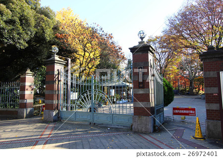 Silkamori no Mori Park 26972401