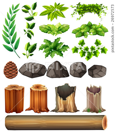 Different types of leaves and rocks Different types of leaves and rocks 26972573