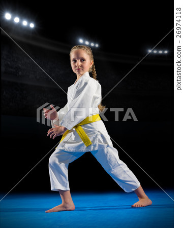 Little girl martial arts fighter 26974118