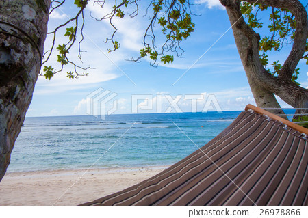 A tropical beach and a hammock A tropical beach and a hammock 26978866