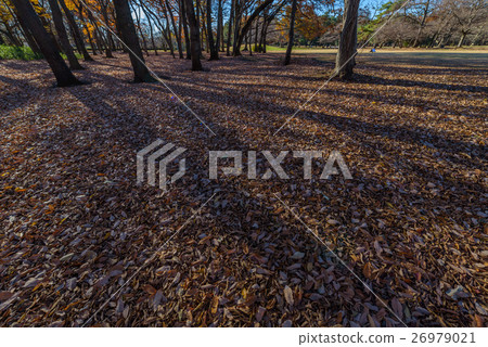 Nogawa Park 26979021