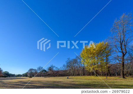 Nogawa Park 26979022