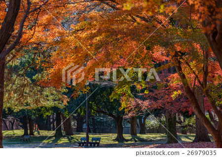 Nogawa Park 26979035