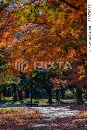 Nogawa Park 26979036