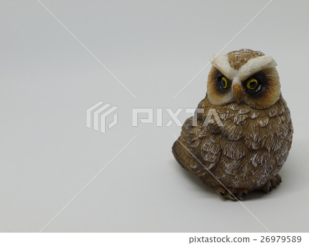貓頭鷹的縮影 26979589