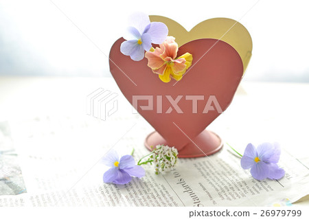 Heart and viola flowers 26979799