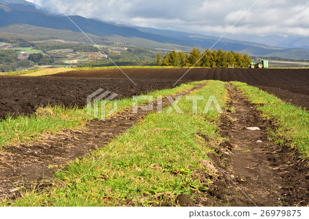 Farm Fall Farm Fall 26979875