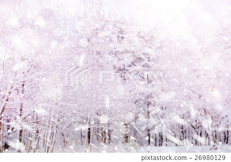 Winter snow magic forest background. Winter snow magic forest background. 26980129
