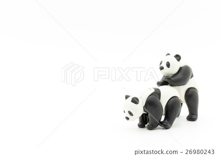 Panda mating: Panda having sex - Stock Photo [26980243] - PIXTA