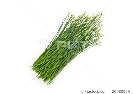 garlic chive in threshing basket on white. 26980909