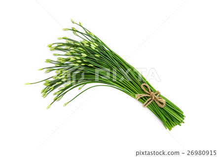 garlic chive in threshing basket on white. garlic chive in threshing basket on white. 26980915
