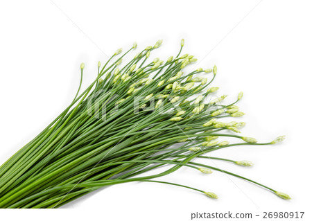 garlic chive in threshing basket on white. 26980917