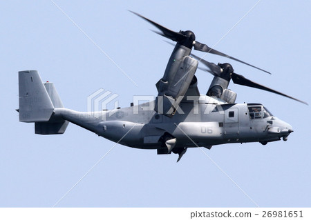 Osprey landing posture 26981651