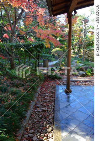 Narukusan in Autumn Narukusan in Autumn 26982016