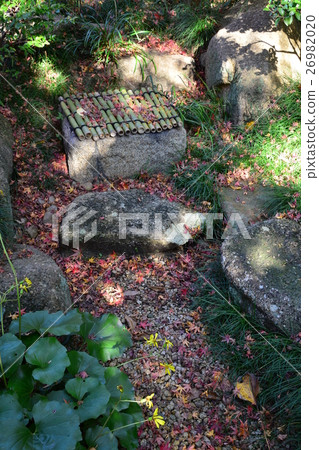 Narukusan in Autumn 26982020