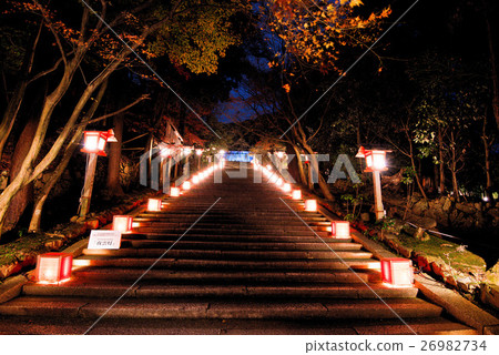 嵐山花光路2016 嵐山花光路2016 26982734