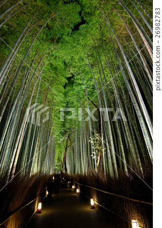 Arashiyama Flower Light Road 2016 26982783