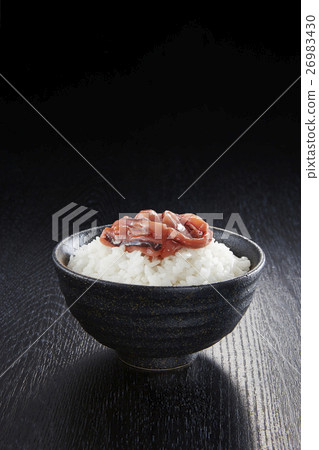 Another rice with squid's salted fish 26983430