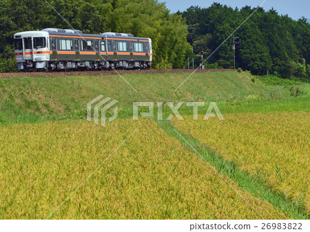 Kiha 25 Shingen line 26983822