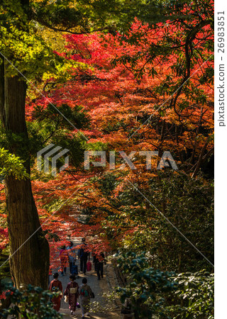Late autumn Kenrokuen 26983851