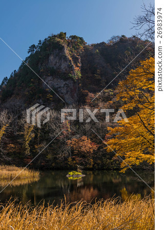 Late autumn Pine Mountain 26983974
