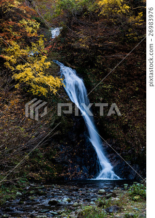 Late autumn Pine Mountain 26983976