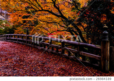 Autumn leaves of Korogi Bridge 26984189