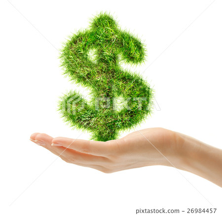 Female hand holding dollar sign 26984457