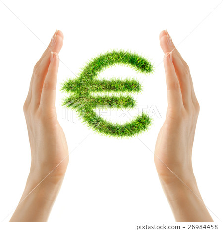 Female hands holding euro sign 26984458