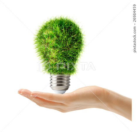 Lamp bulb made of green grass in hand 26984459