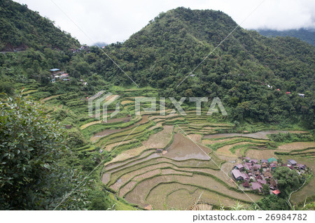 Bangaan Rice Terraces(Banaue的Tanada) - 通往天堂的台階,菲律賓 Bangaan Rice Terraces(Banaue的Tanada) - 通往天堂的台階,菲律賓 26984782