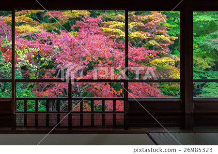 權威Rurikoin 權威Rurikoin 26985323