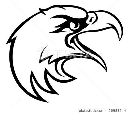 Eagle Head From Side 26985344