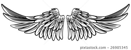 Spread Pair of Angel or Eagle Wings Spread Pair of Angel or Eagle Wings 26985345