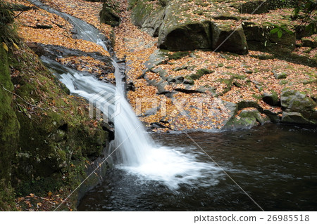 Red-eye-Shimbashi-taki fall foliage Mie prefecture Red-eye-Shimbashi-taki fall foliage Mie prefecture 26985518