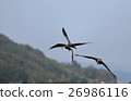 Crane of the flood 32 26986116
