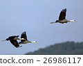 Crane of the flood of water 33 26986117