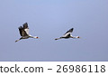 Crane of the flood water 34 26986118