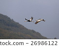 Crane of the flood water 38 26986122