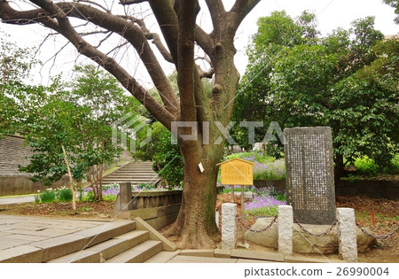 東京歷史遺址信息·在Yushima大教堂的Kishi和原籍書面帖子·橫向位置 26990004