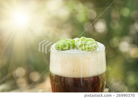 Beer, kvass malt hops Beer, kvass malt hops 26990370